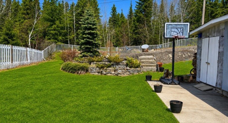 Backyard