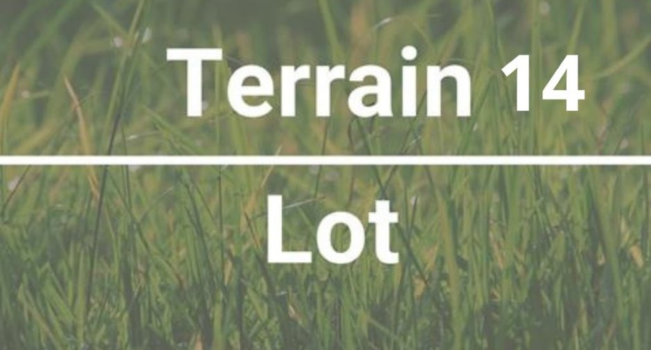 Terre/Terrain