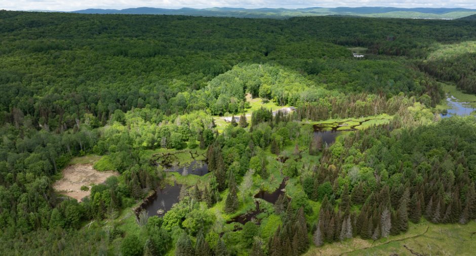 Vue
