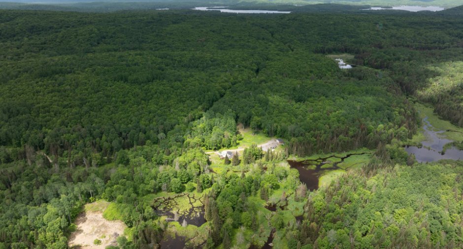 Vue