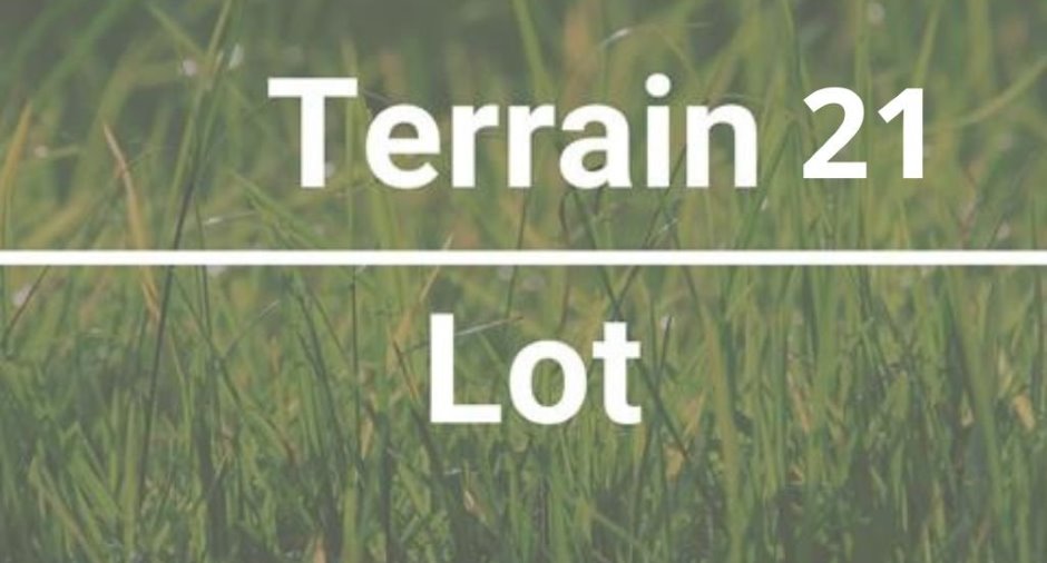 Terre/Terrain