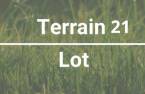 Terre/Terrain