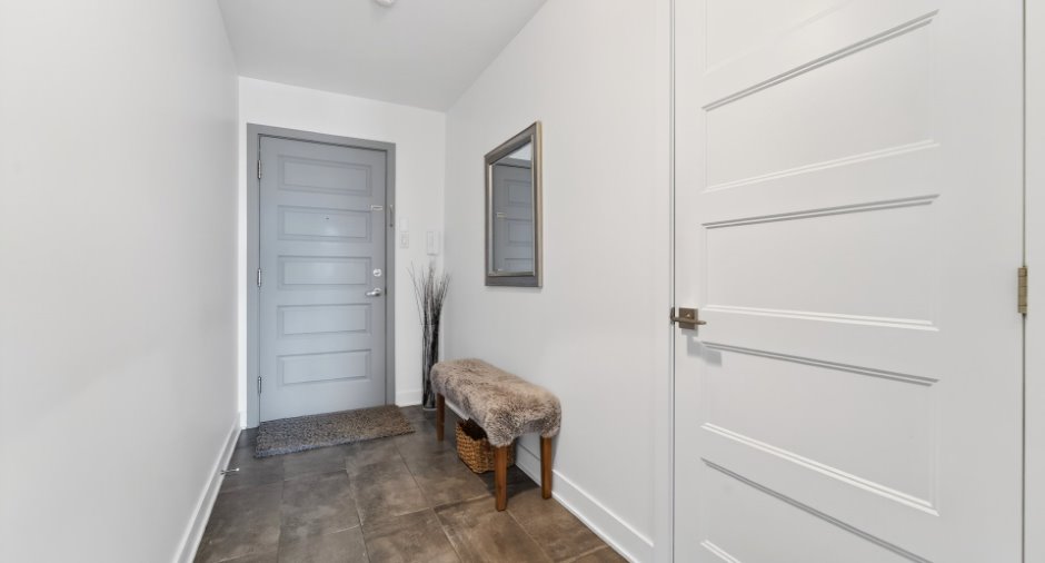 Hall d’entrée/Vestibule