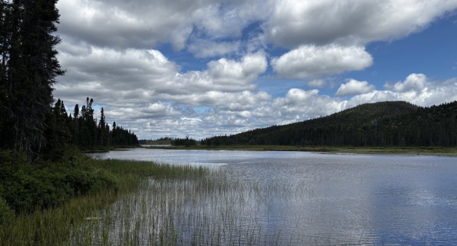 Bord de l'eau