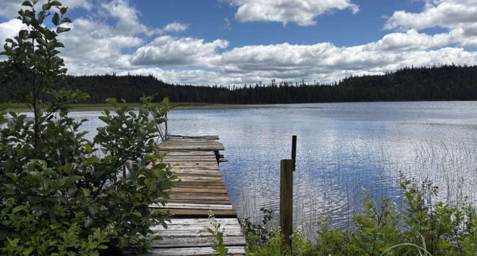 Bord de l'eau