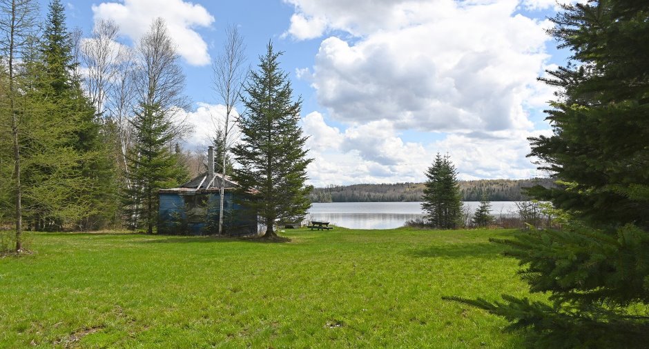 Overall View