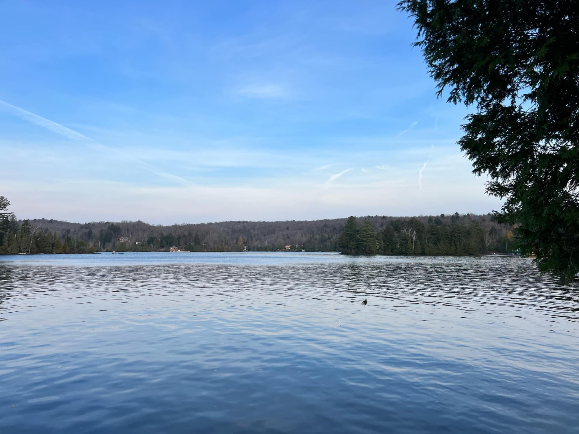 Ch. du Lac-Louisa S. — photo 3