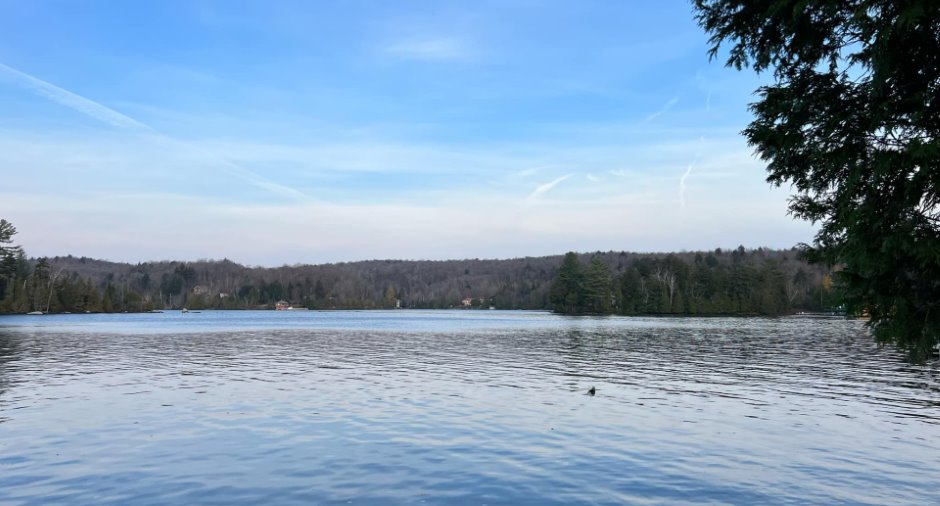 Vue sur l'eau