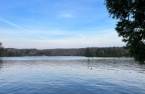 Vue sur l'eau