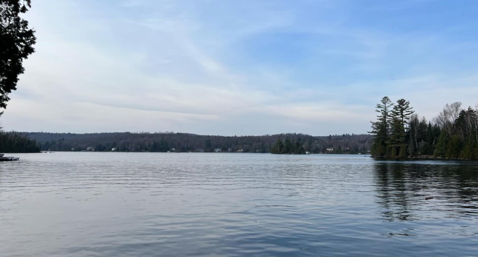Vue sur l'eau