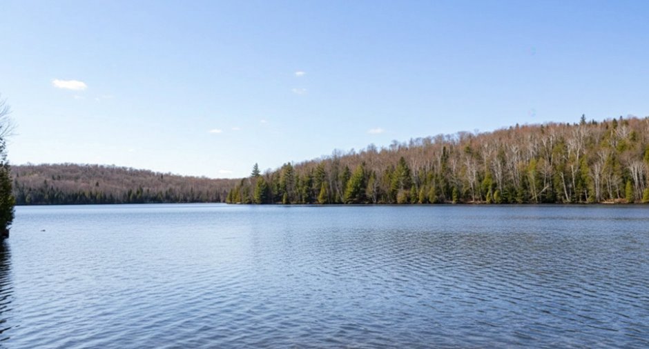 Bord de l'eau