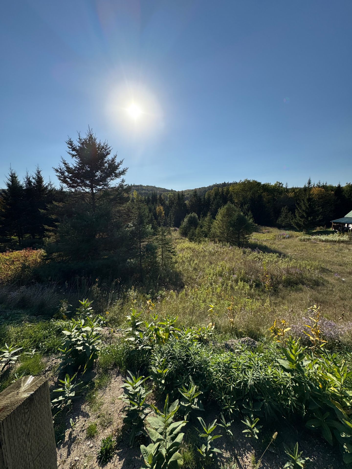 Route 309 — photo 1