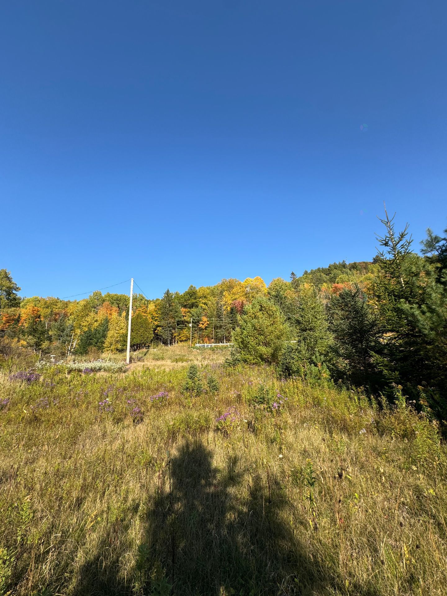 Route 309 — photo 3