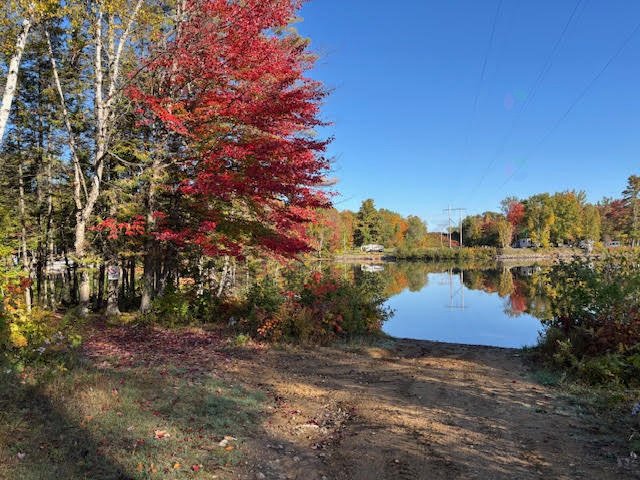 Mtée Thibodeau — photo 1