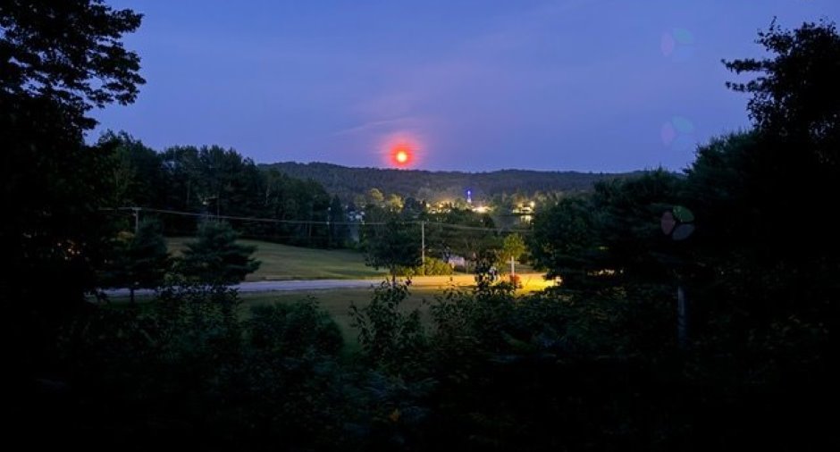 Vue