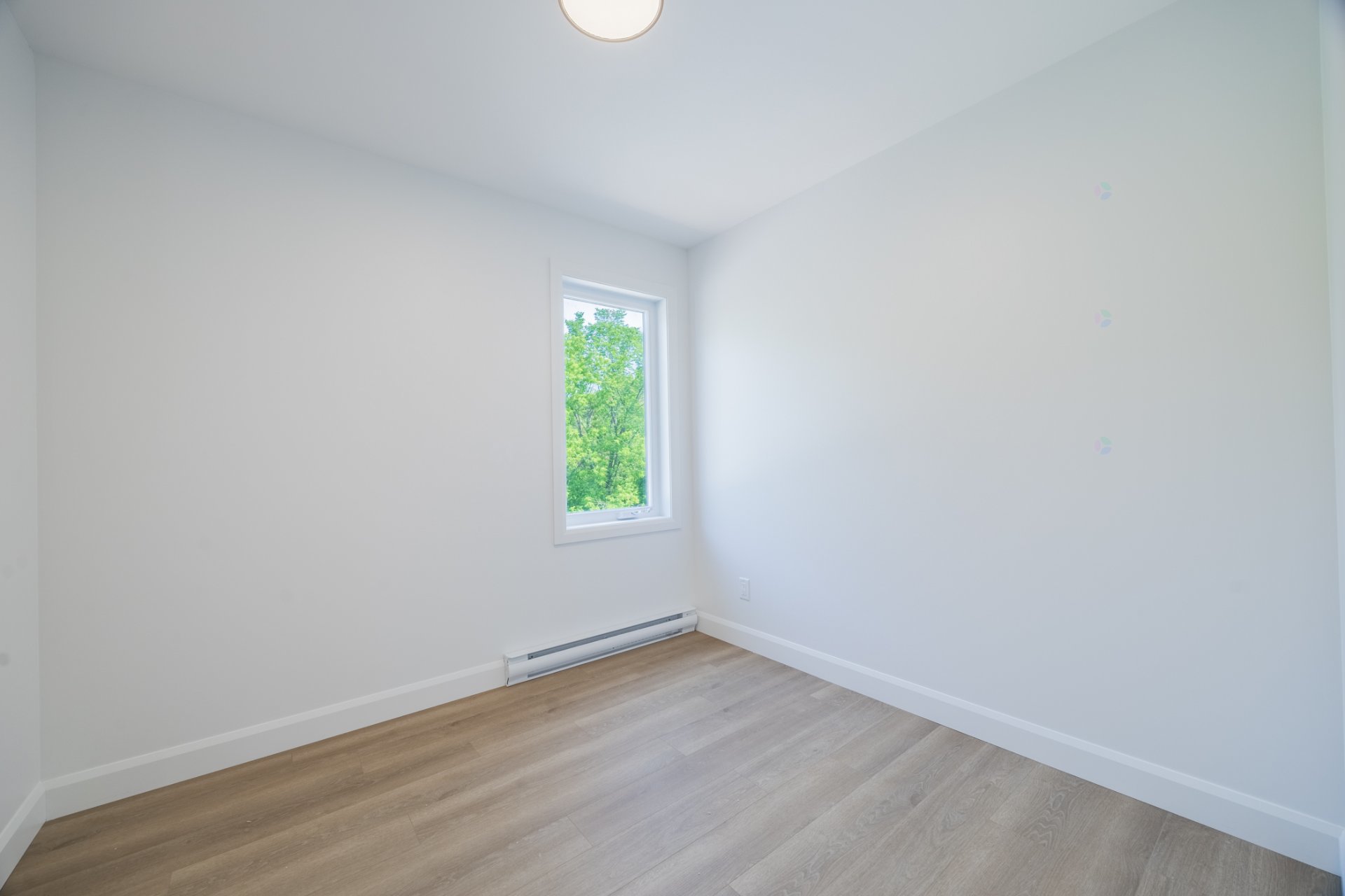 2373 Av. Notre-Dame — photo 3