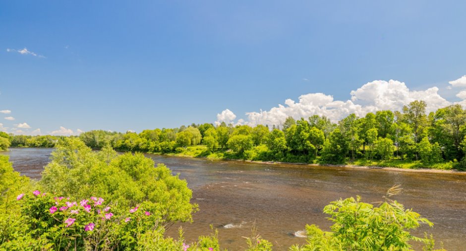 Accès au plan d'eau