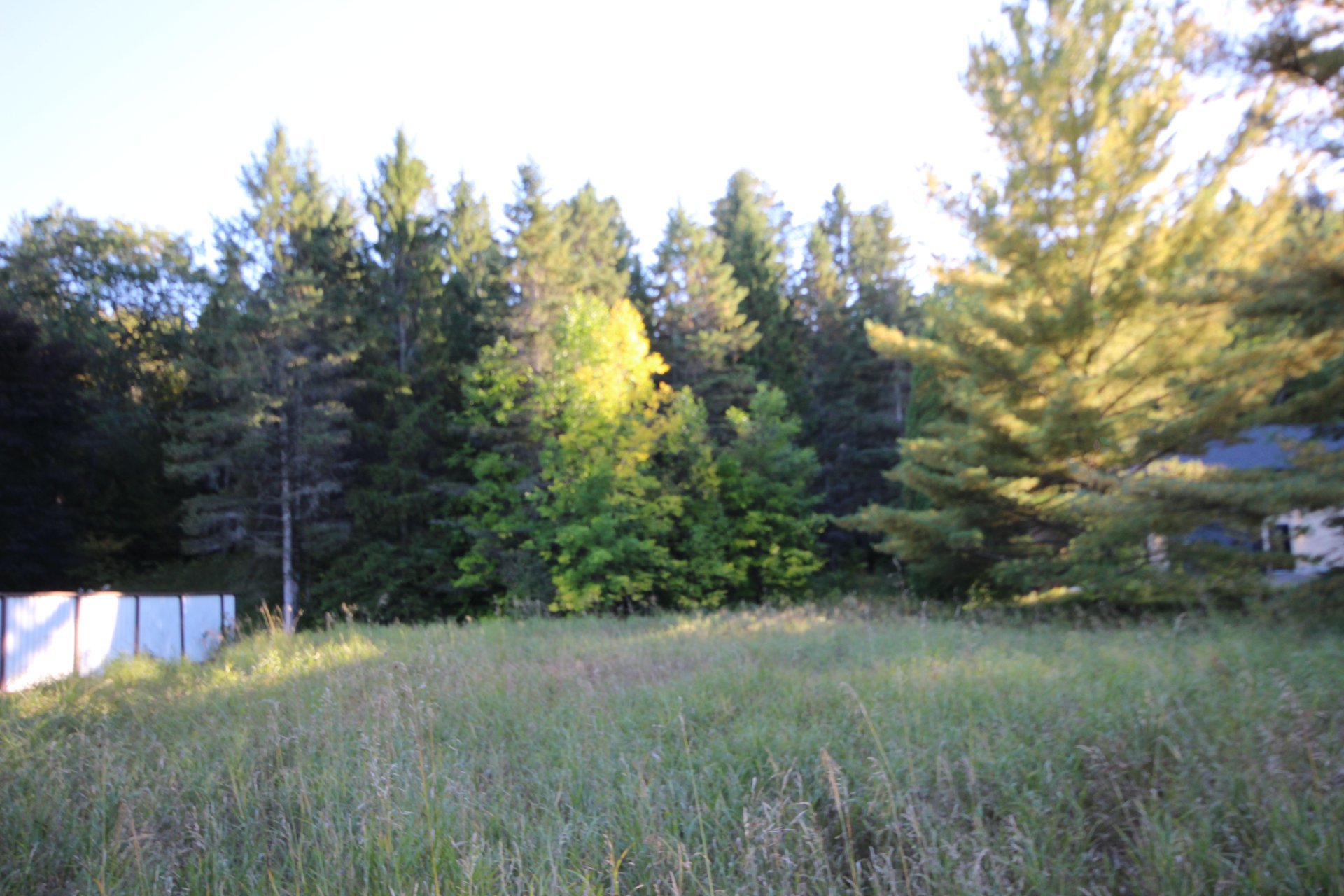 Boul. du Saguenay O. — photo 3
