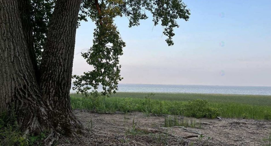 Vue sur l'eau