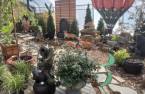Greenhouse