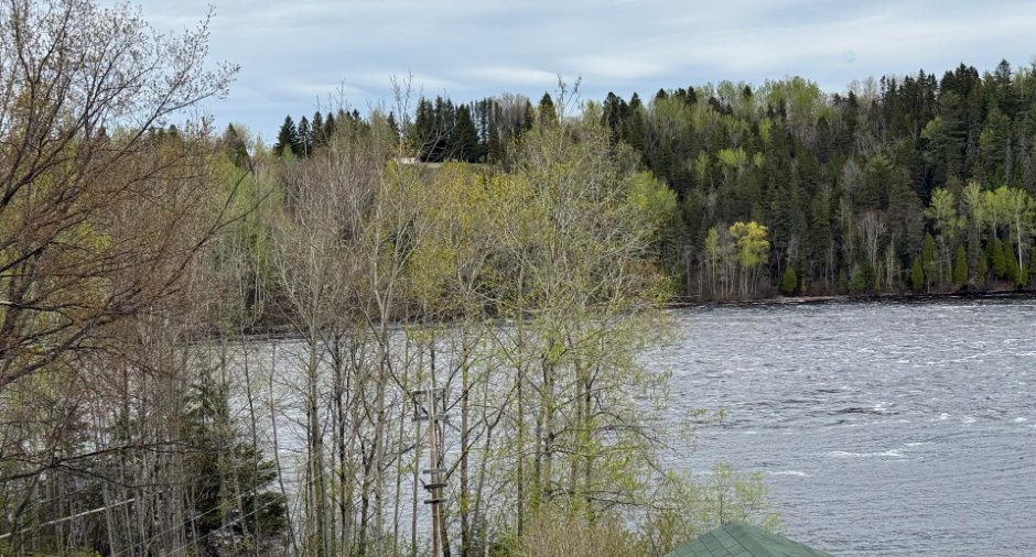 Vue sur l'eau