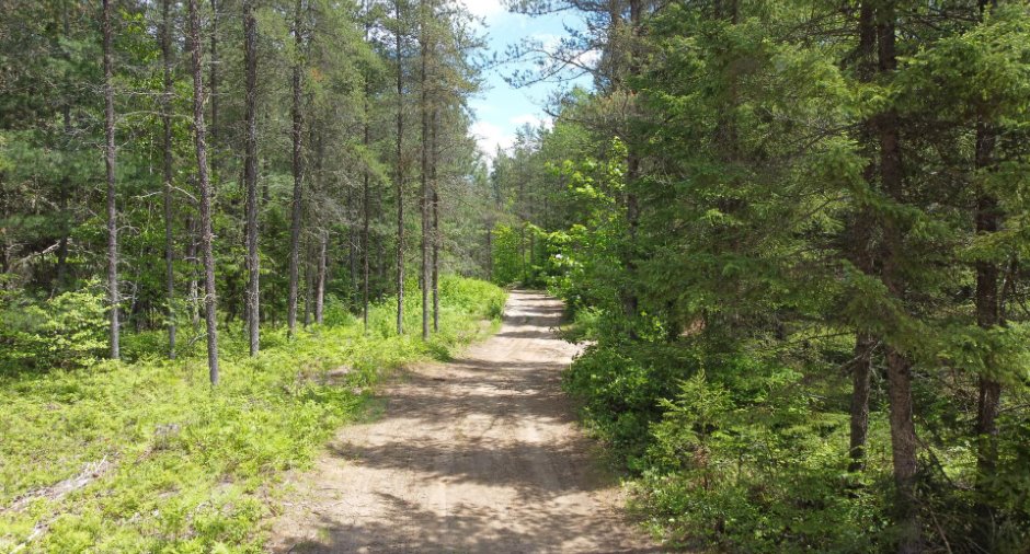 Terre à bois