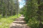 Terre à bois