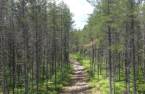 Terre à bois