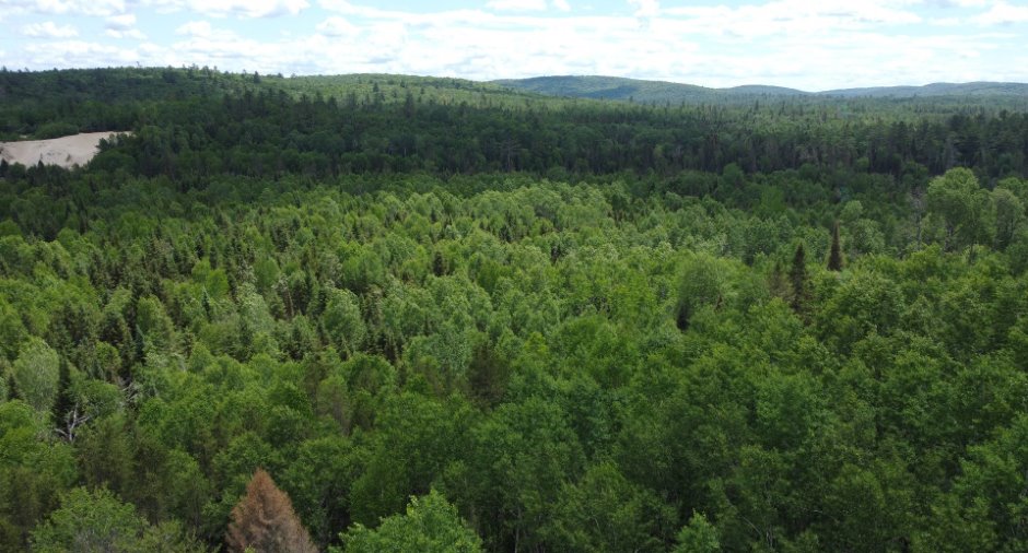 Terre à bois