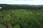 Terre à bois