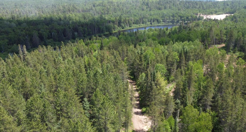 Terre à bois