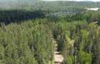 Terre à bois