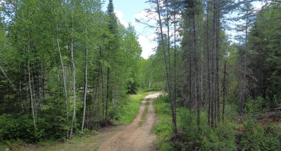Terre à bois