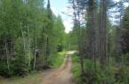 Terre à bois