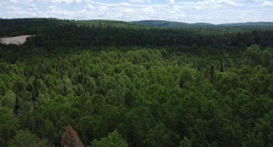 Terre à bois