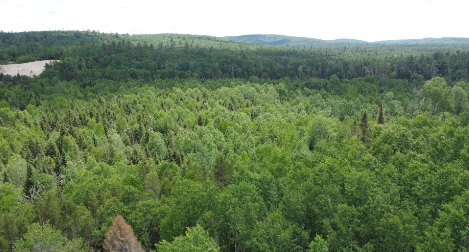 Terre à bois