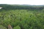 Terre à bois
