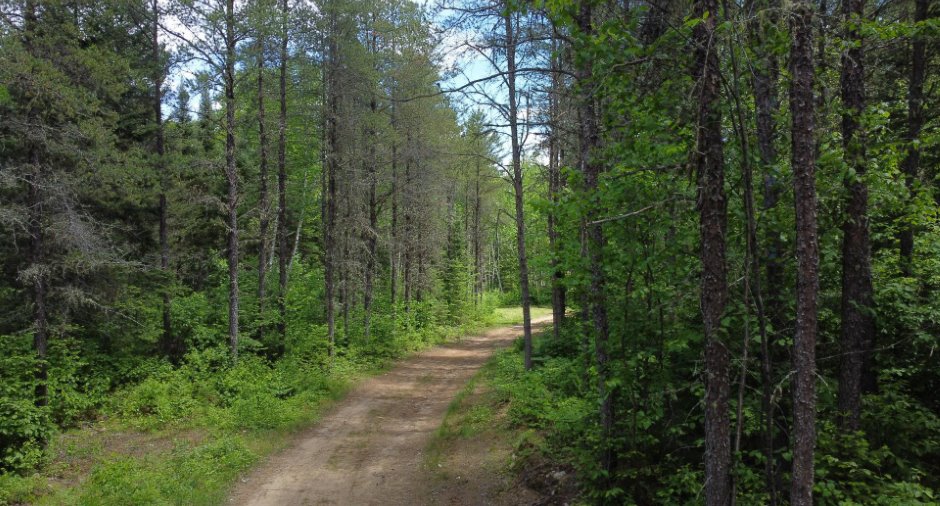 Terre à bois