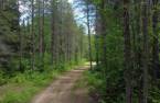 Terre à bois