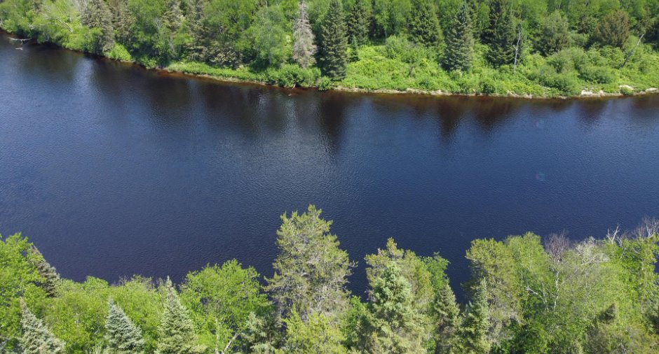 Vue sur l'eau
