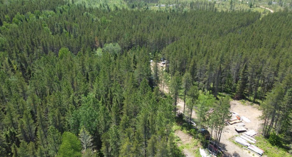 Terre à bois