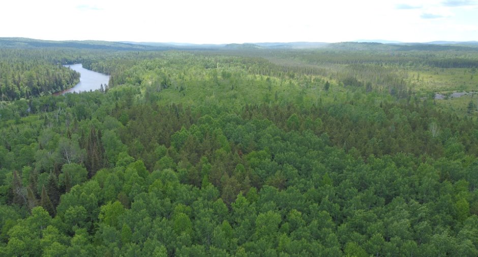 Vue d'ensemble