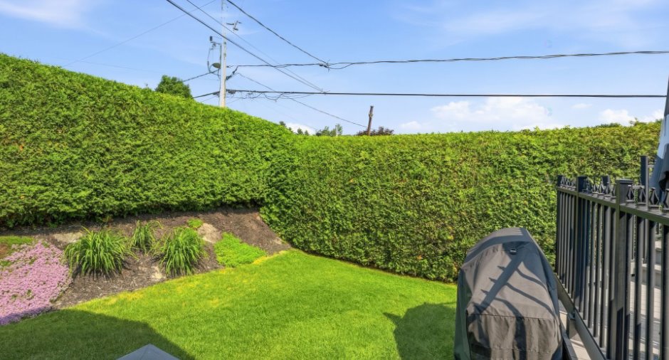 Terre/Terrain