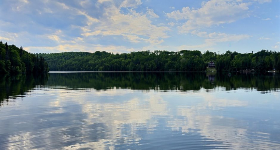 Vue sur l'eau