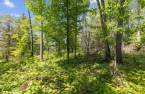 Terre/Terrain