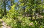 Terre/Terrain