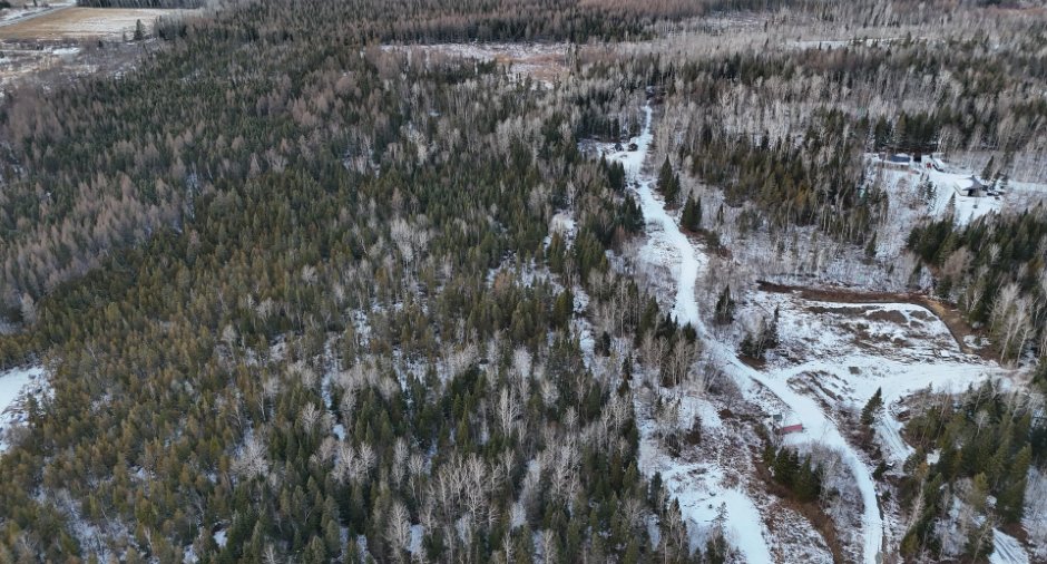 Overall View