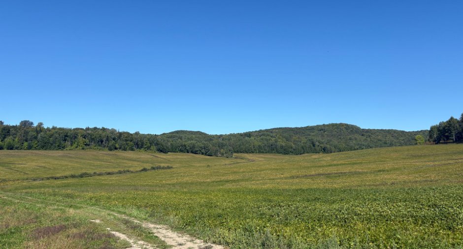 Vue d'ensemble