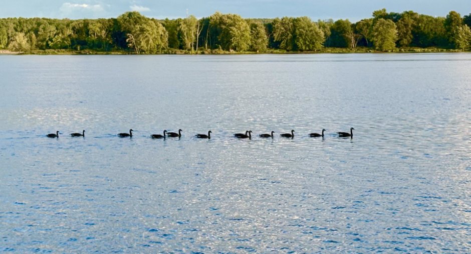 Vue sur l'eau