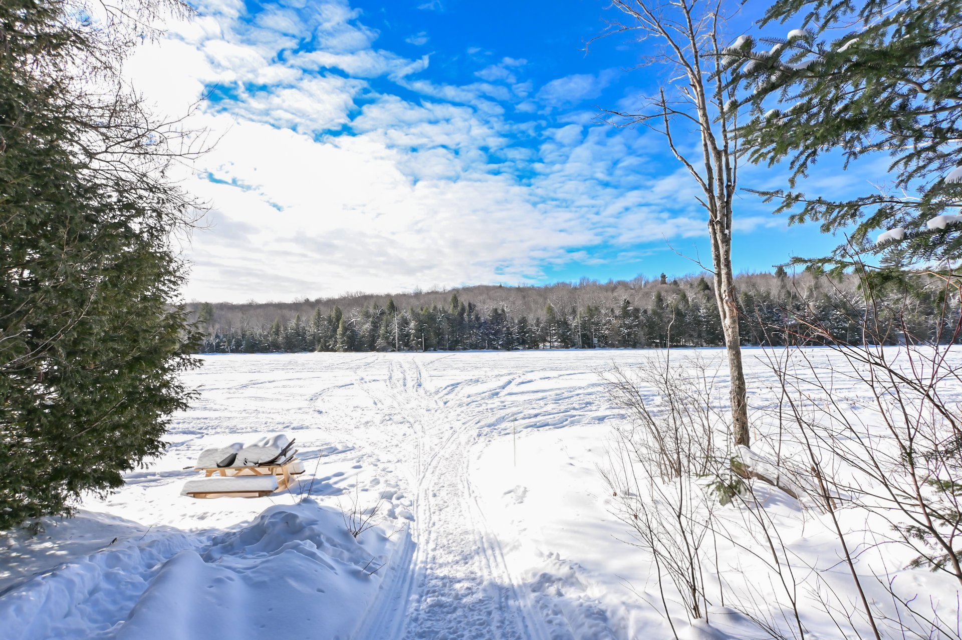 Accès au plan d'eau